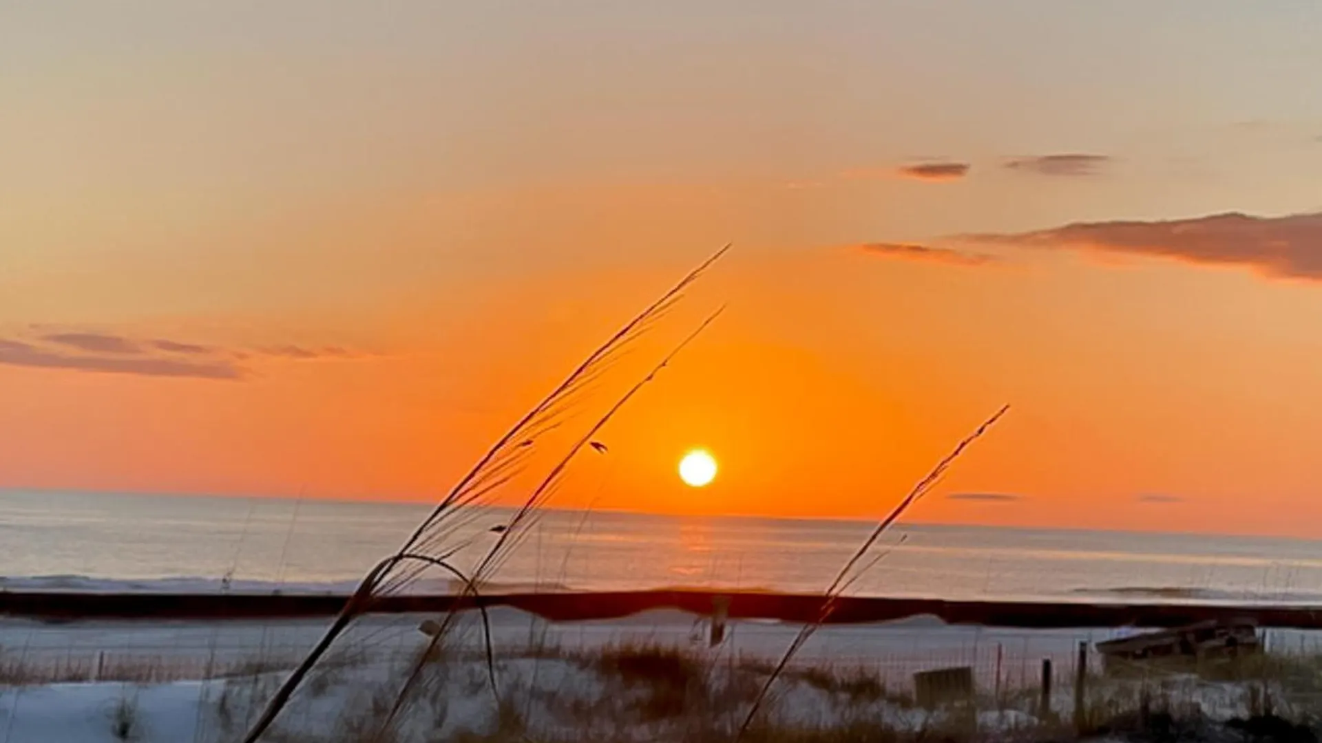 Dunes Of Panama Condos Panama City Beach 0*,